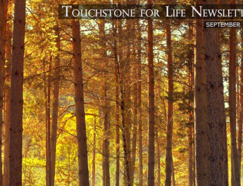 Touchstone for Life Newsletter – September 2021