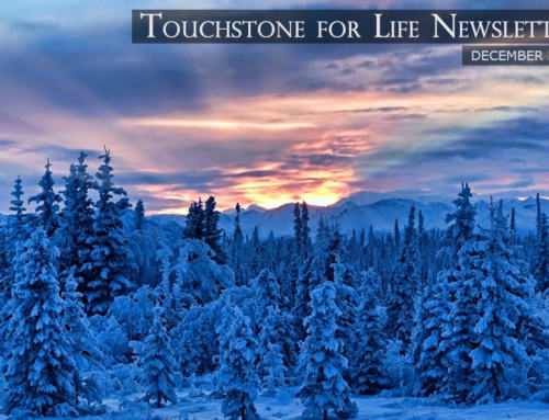 Touchstone For Life Newsletter – December 2021