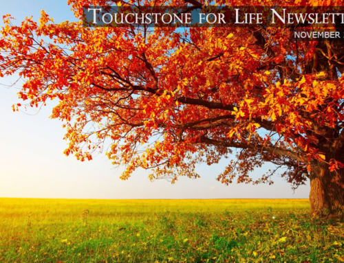 Touchstone for Life Newsletter – November 2021