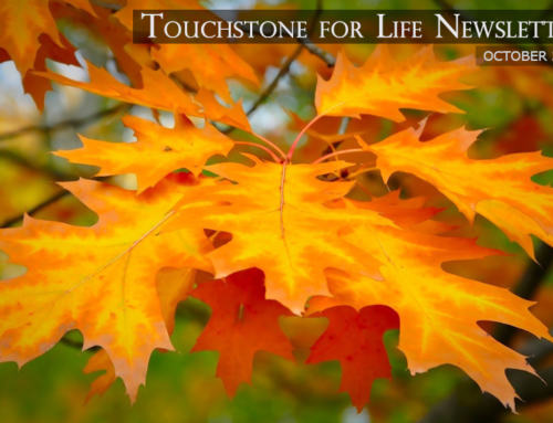 Touchstone for Life Newsletter – October 2021